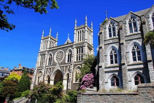 梦想照进现实 在新西兰学习动漫技术开发，踏上成为下一个宫崎骏的旅程